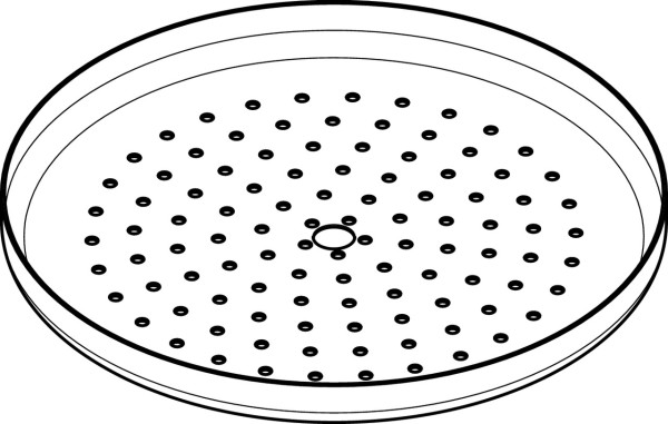 Hansgrohe Strahlscheibe Croma 220 Kopfbrause