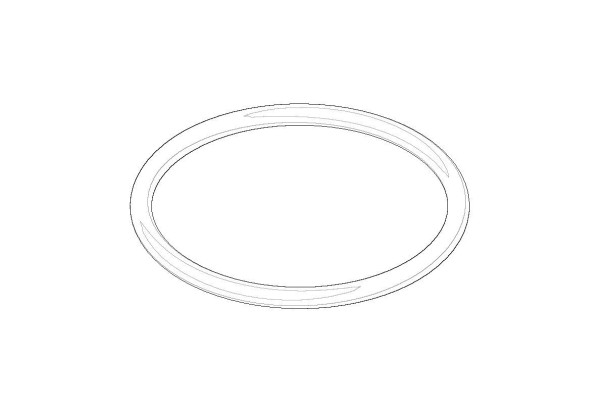 Dornbracht O-Ring Ersatzteile 091410098 22,0 x 1,6 mm
